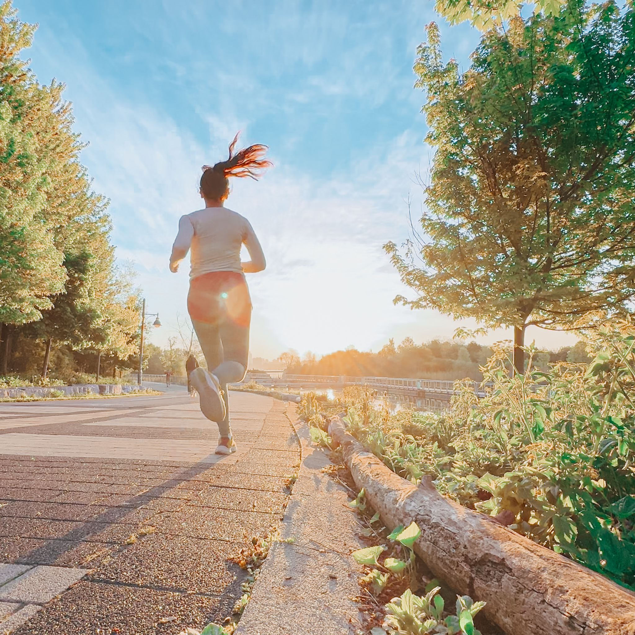 🌸 The Easiest Half Marathon Guide 🌸